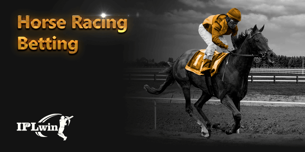 881bet